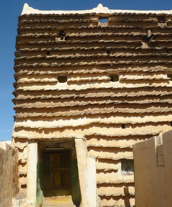 setec-organisation-jazan-2