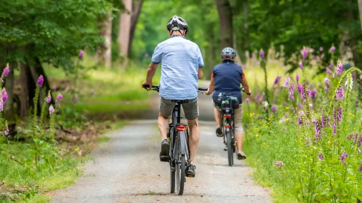 setec-organisation-voies-cyclables-3